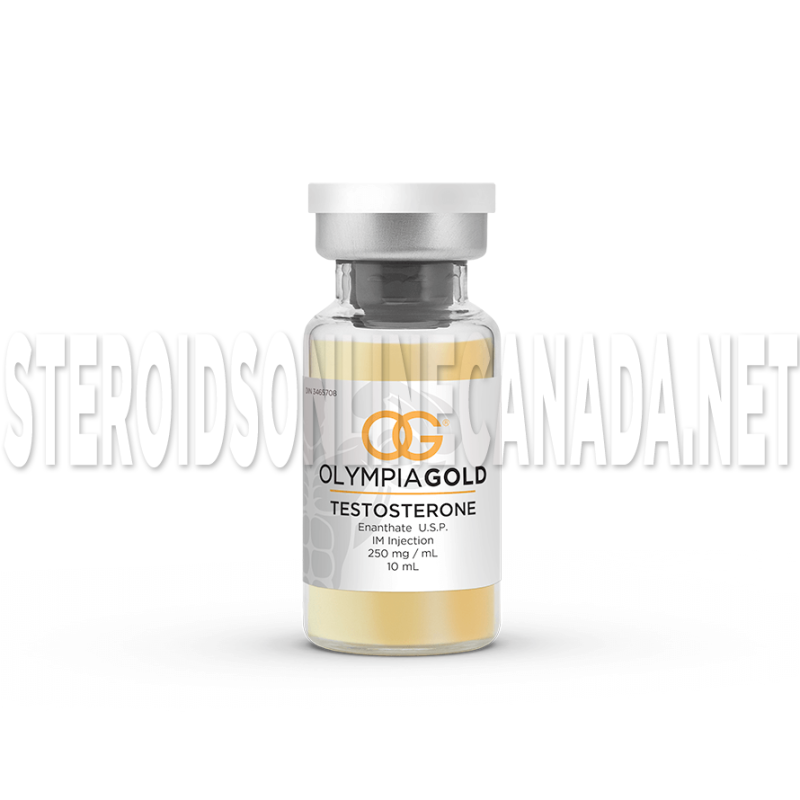 Testosterone bottle - Canadain Supplements and Steroids