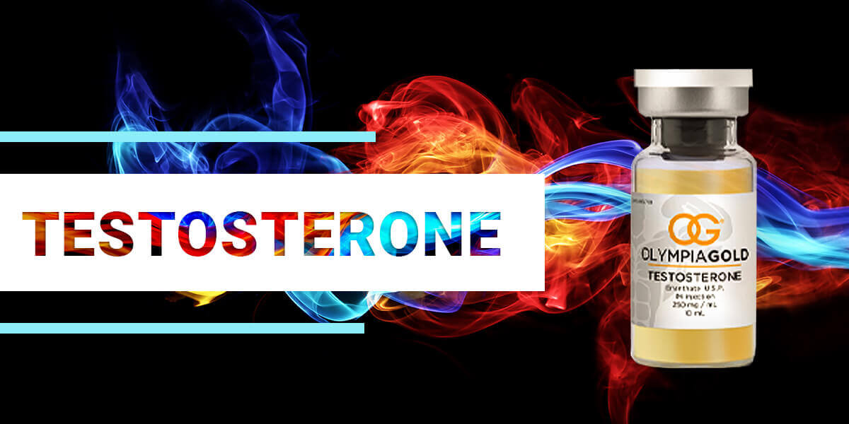 Testosterone - Which Steroids Should You Buy? In Canada 2020? - Steroids Online Canada . net helps with an educational guide 