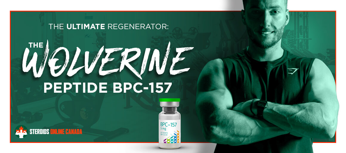 Steroid BPC-157 Peptide Wolverine Canada